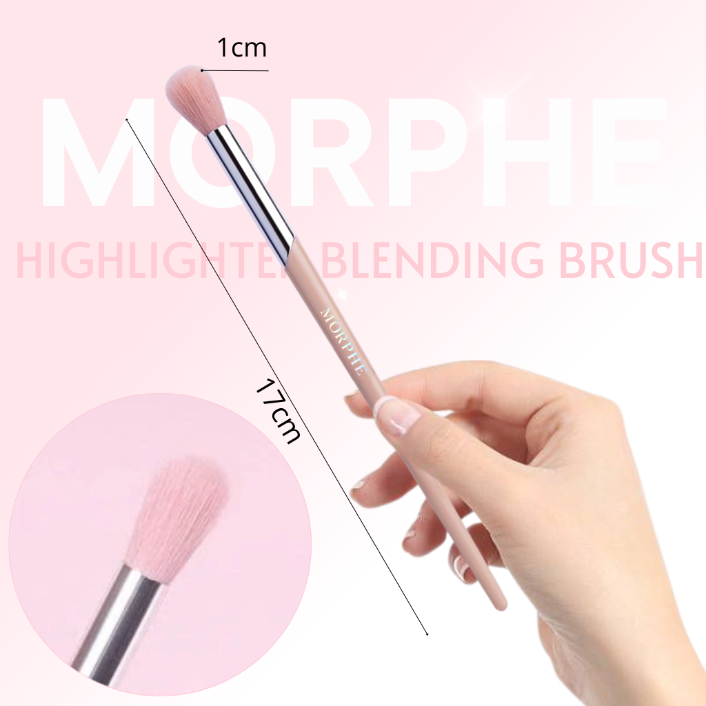 Cọ Tán Màu Mắt / Highlight Nhỏ Morphe Eye Highlight Brush M210 – Đầu Oval, Bung Vừa
